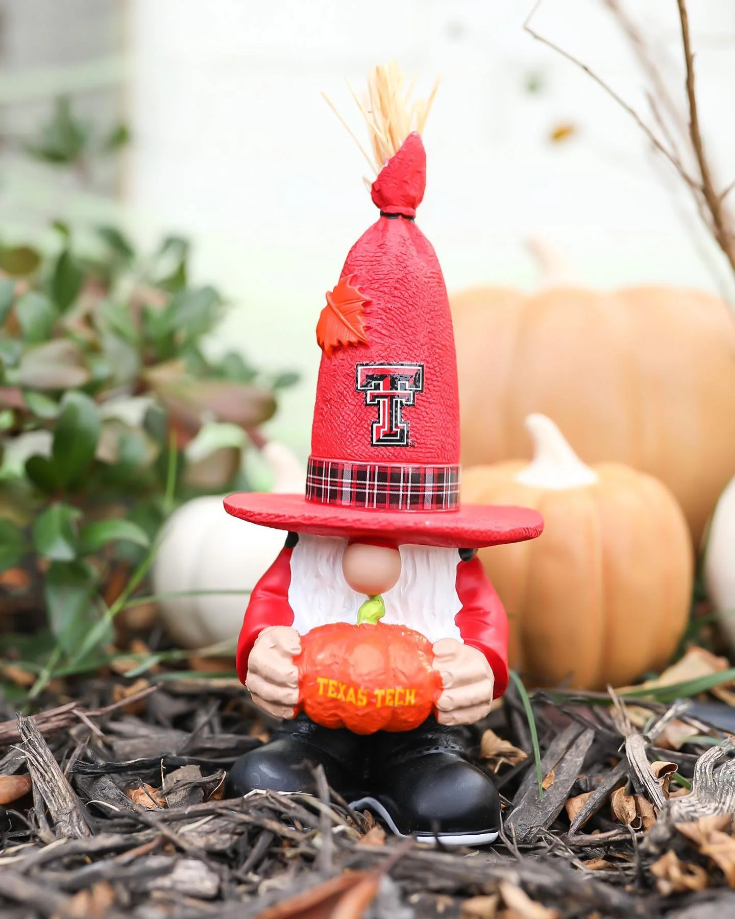 Texas Tech Harvest 7" Garden Gnome