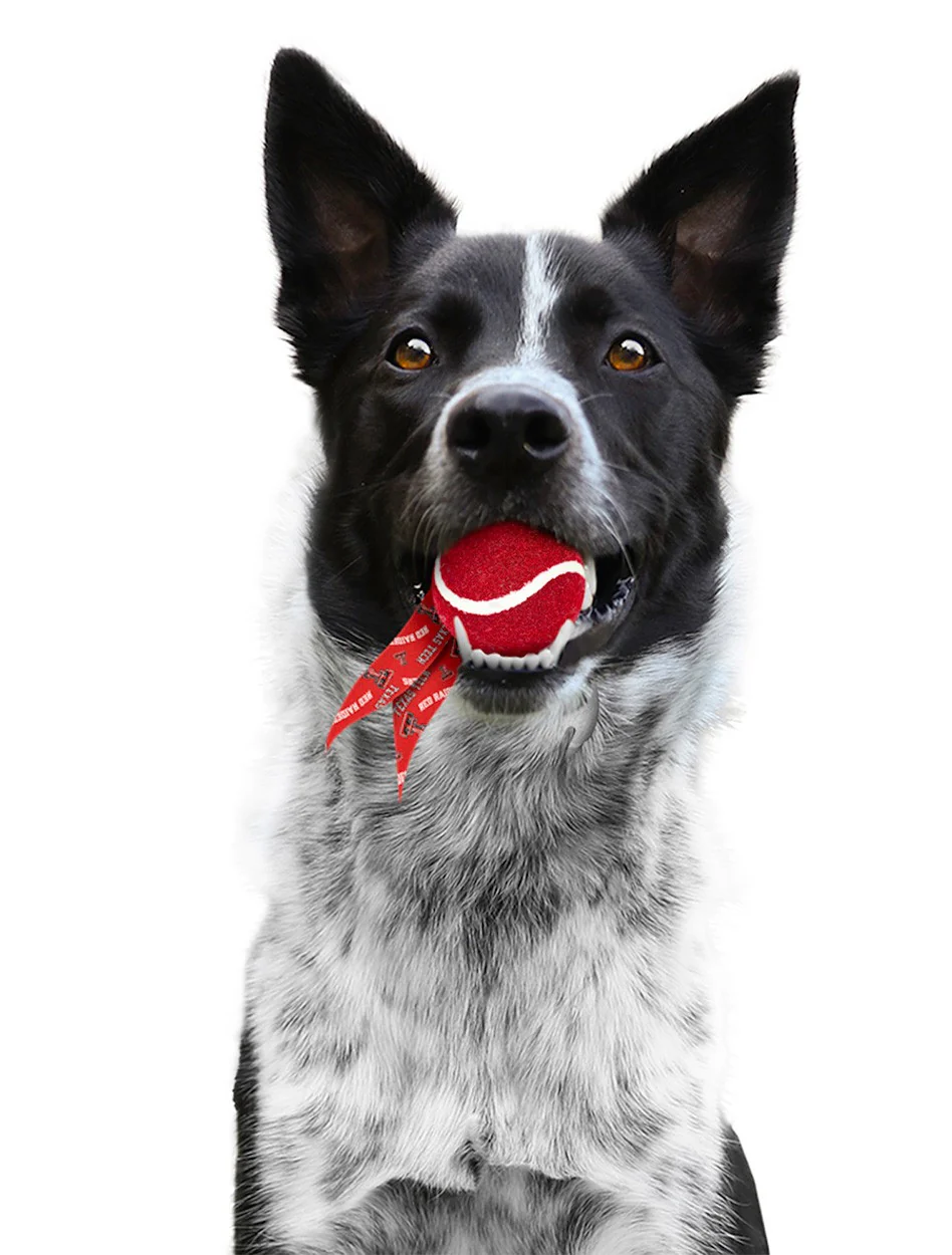 Texas Tech Pet Ball Launcher - Image 4